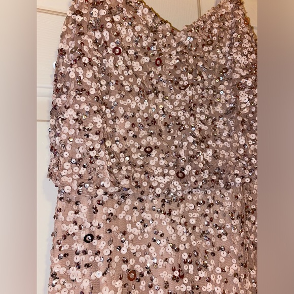 Adrianna Papell sequin blouson bridesmaid gown dress in blush color - Picture 4 of 11